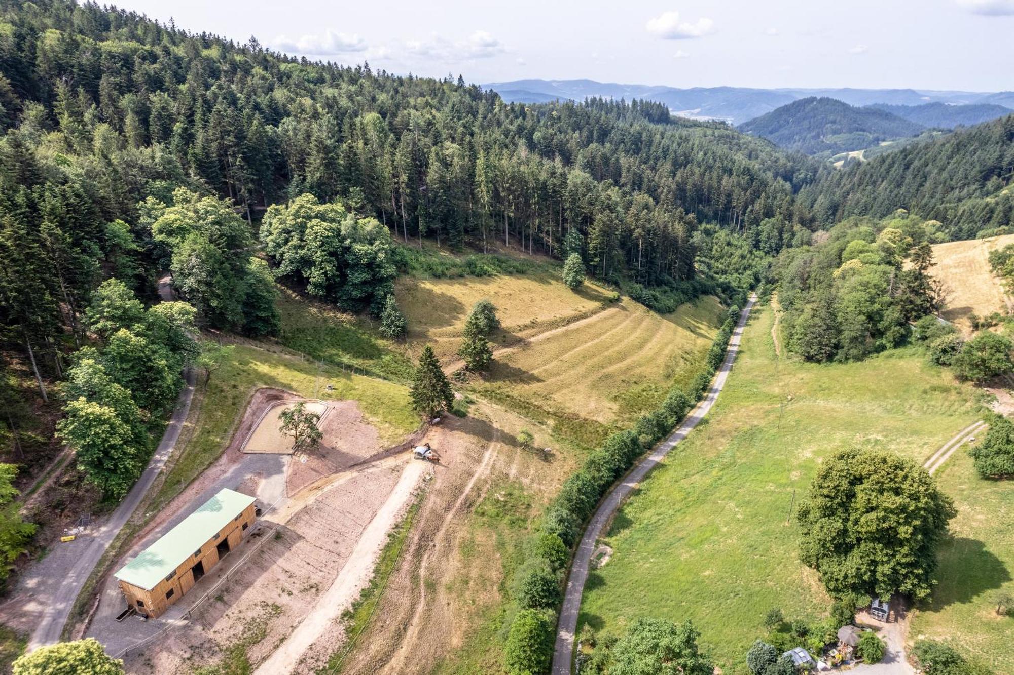 Ferienhaus Giessler Nordrach Экстерьер фото